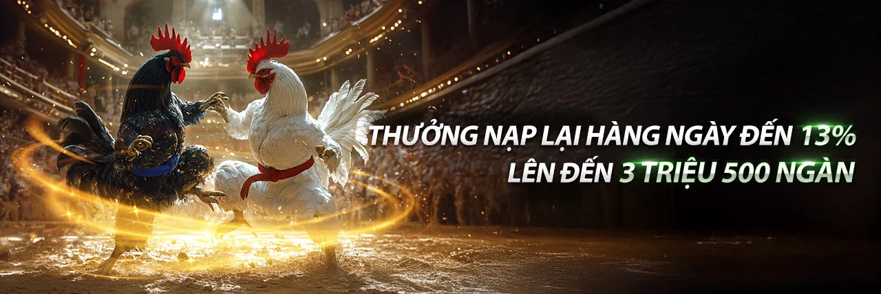 Đá gà Thomo ngày 29 trực tiếp